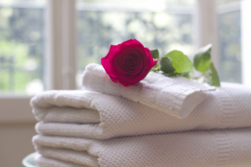 hotel-CARNOULES-min_towel_rose_clean_care_salon_spa_white_bath-731641